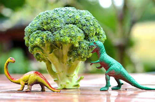 Verduras e legumes na alimentação
